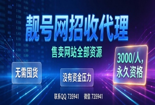 靓号网代理介绍