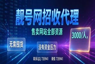 靓号网代理介绍